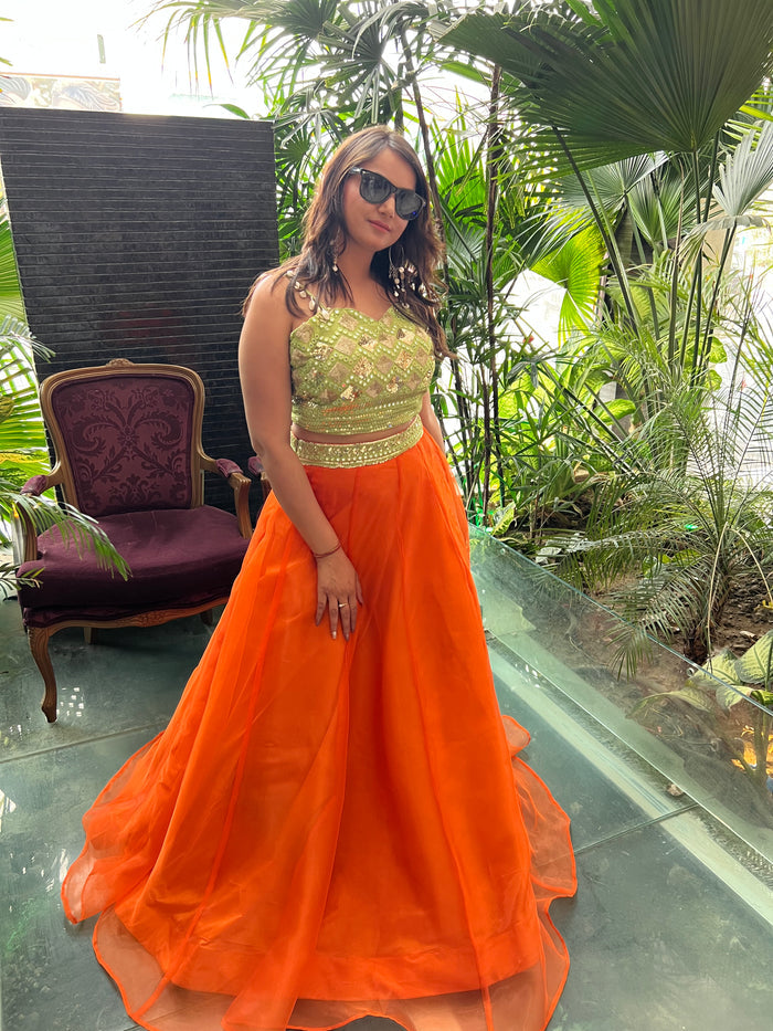 Whimsical Wonders Lehenga