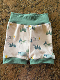 Camping Dinosaur 12m-3t Shortie shorts (longer length)