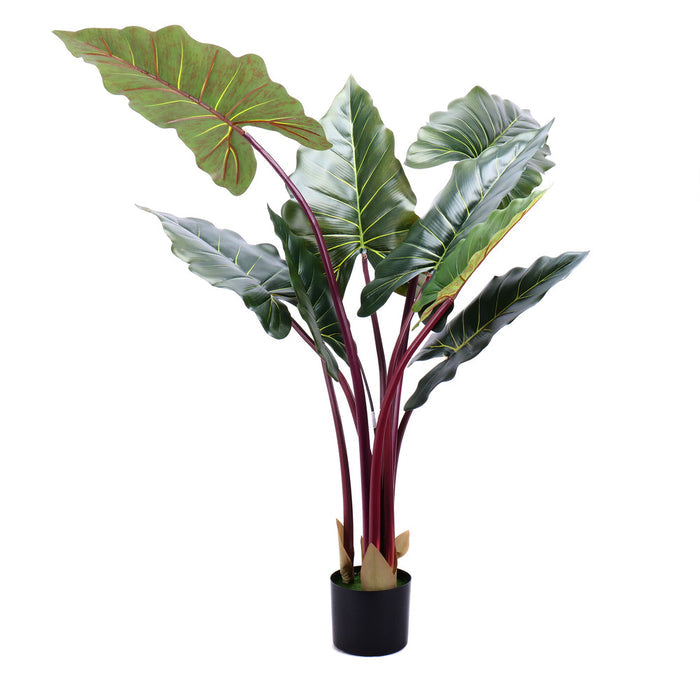 02000028_alocasia-v-kvetinaci-140cm-umela