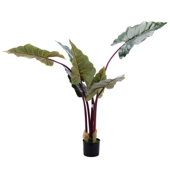 02000028_alocasia-v-kvetinaci-140cm-umela