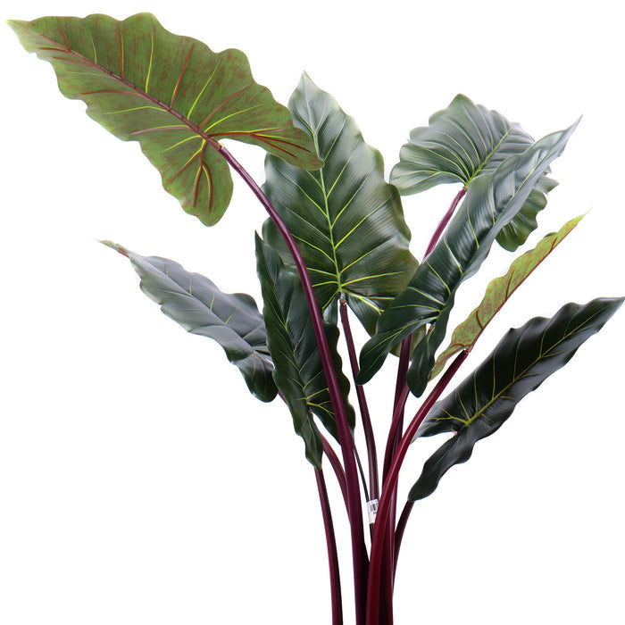 02000028_alocasia-v-kvetinaci-140cm-umela