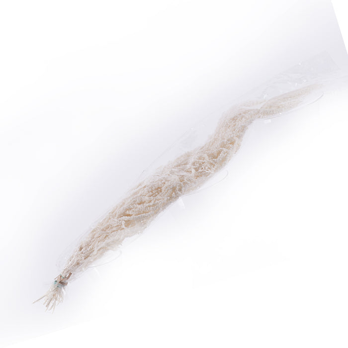 01400001_amaranthus-blanco-40-70-biely