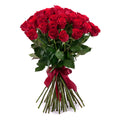 03001942_amore-cervene-ruze-40
