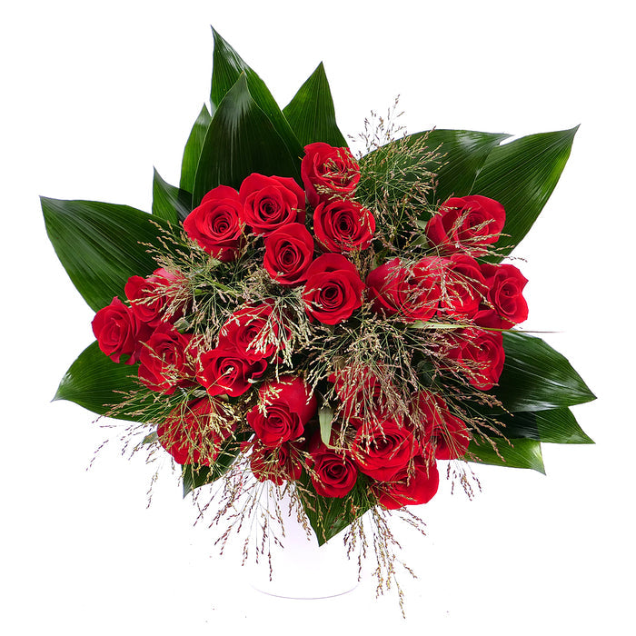 03000639_amore-cervene-ruze-a-panicum