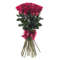 03000638_amore-cervene-ruze-1
