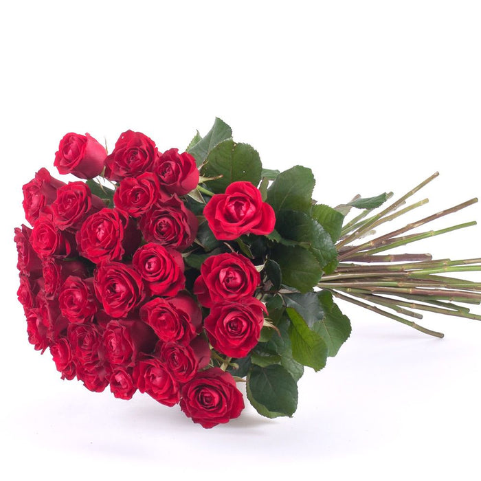03000638_amore-cervene-ruze-1