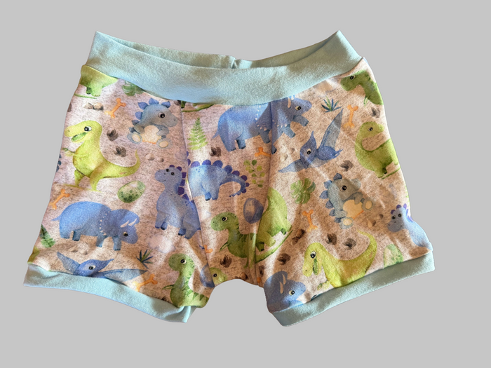 Baby Dinosaur 4t kids Boxers Underwear