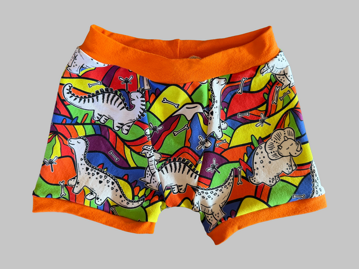 Bright Dinosaurs 4t kids Boxers Underwear