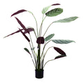 02000111_calathea-v-kvetinaci-140cm-umela