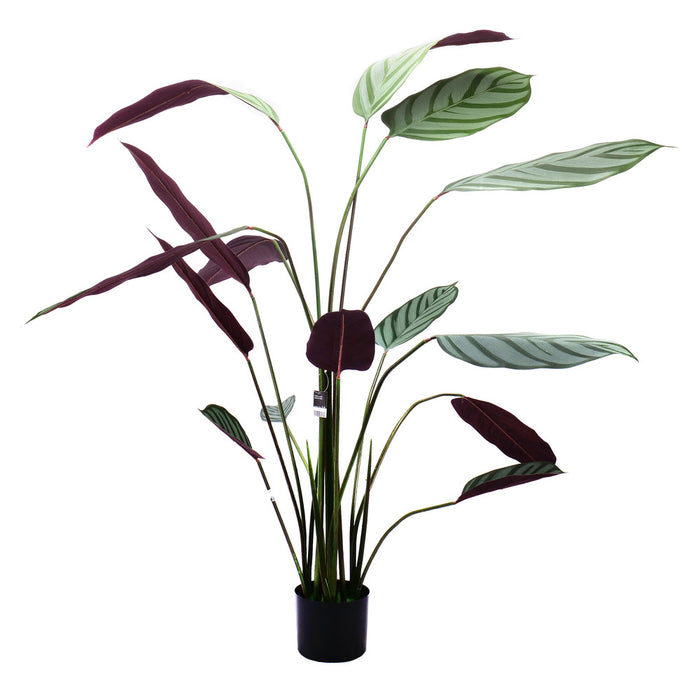 02000111_calathea-v-kvetinaci-140cm-umela