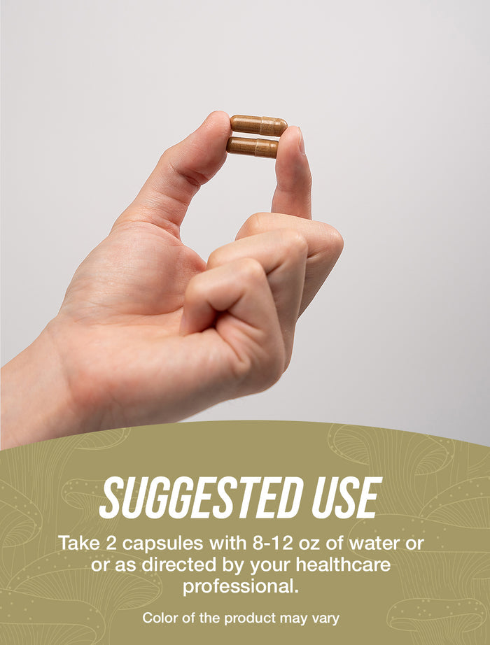 Chaga Mushroom Extract capsules suggested use image