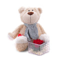 03000344_darcekovy-set-in-eterno-cervena-ruza-a-plysovy-macko