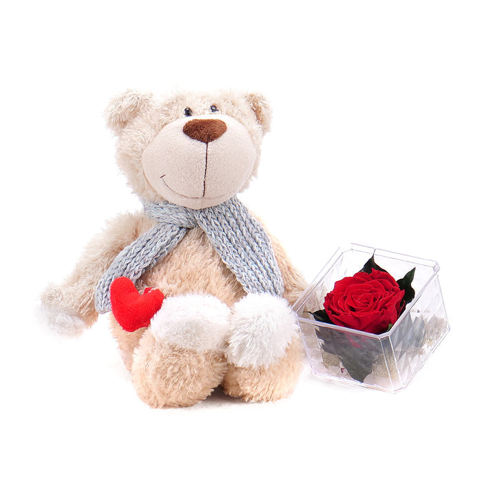 03000344_darcekovy-set-in-eterno-cervena-ruza-a-plysovy-macko