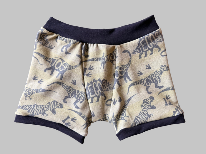 Dinosaur Names 4t kids Boxers Underwear