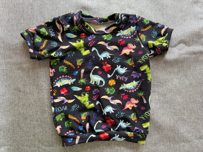 Dinosaurs 12-18m Tshirt