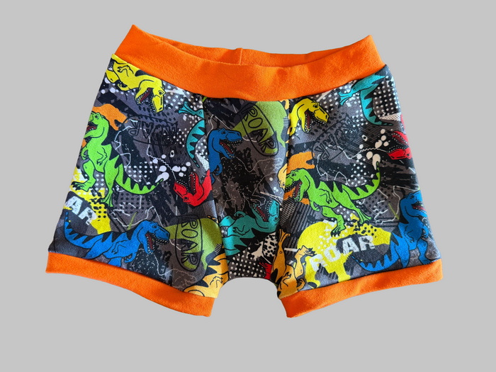 Dinosaurs 4t kids Boxers Underwear