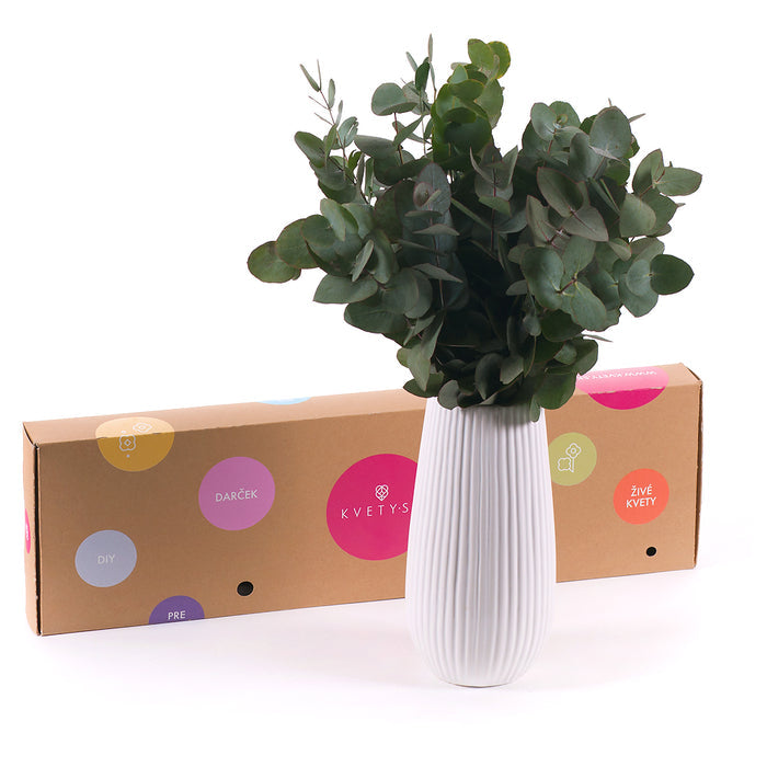 03000467_diy-kytica-eukalyptus-cinerea-do-vazy
