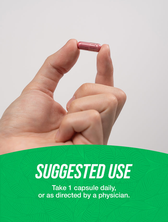 Elderberry extract capsules suggested use image