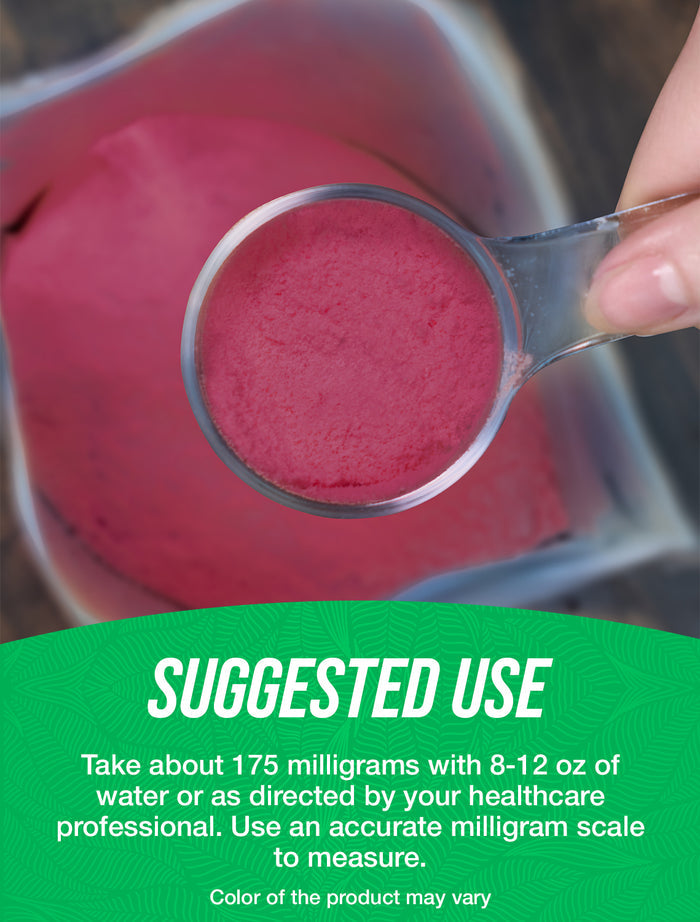 Elderberry extract powder suggested use image