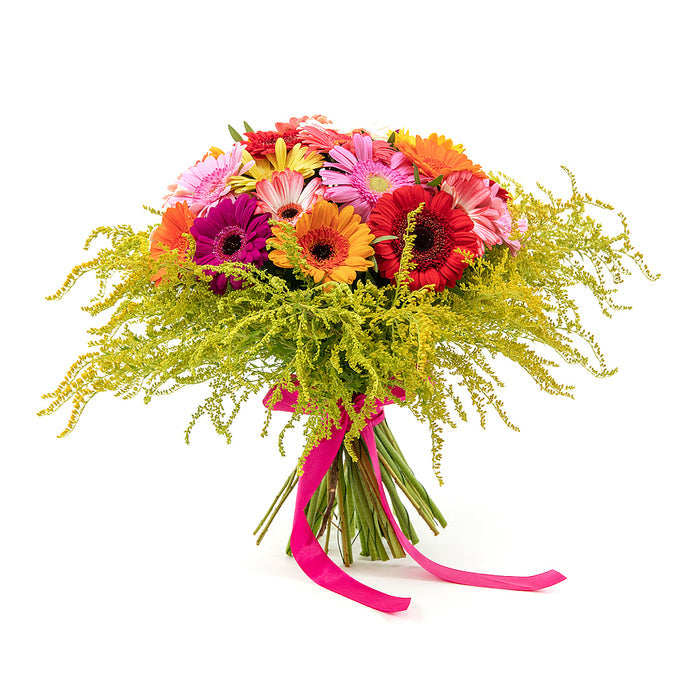 03000594_elite-farebne-gerbery-a-solidago