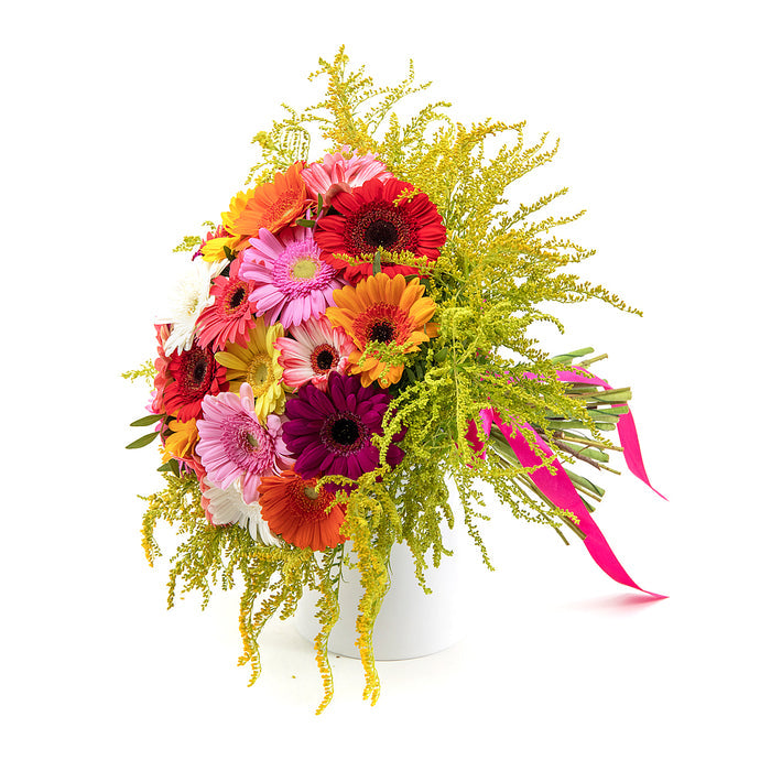 03000594_elite-farebne-gerbery-a-solidago