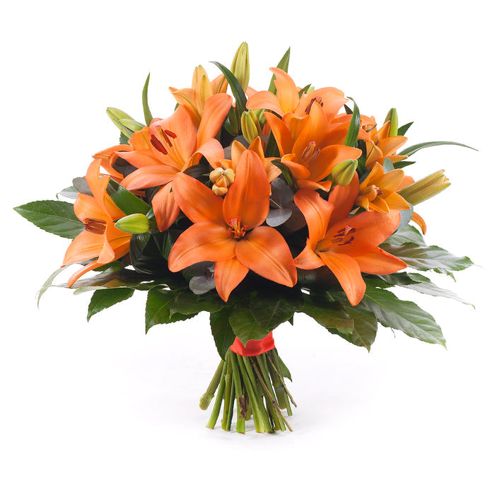 03000604_elite-oranzove-lalie