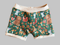 Fall Forest 4t kids Boxers Underwear
