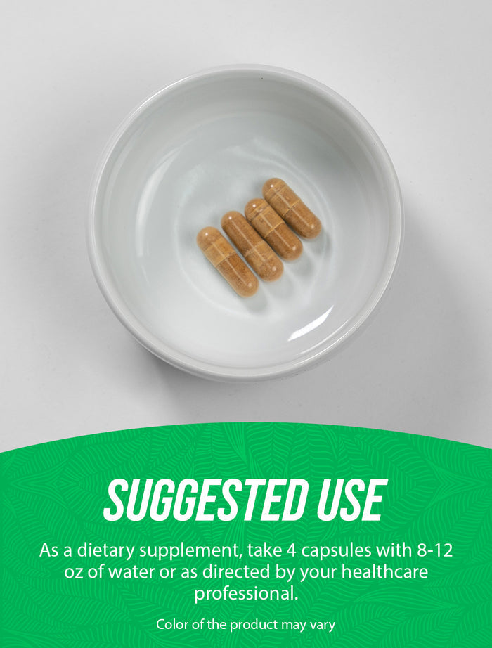 Ginger Root Extract Capsules Suggested Use Image