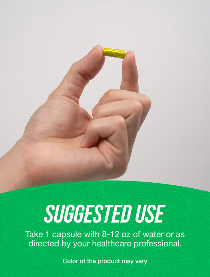 Gotu Kola Extract Capsules