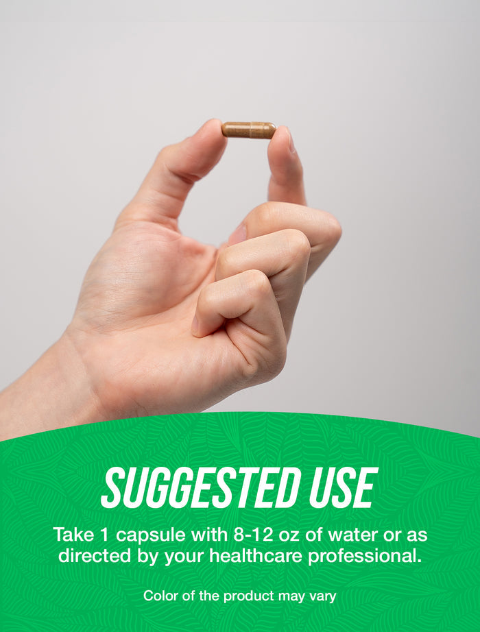 Green Tea Extract capsules suggested use image