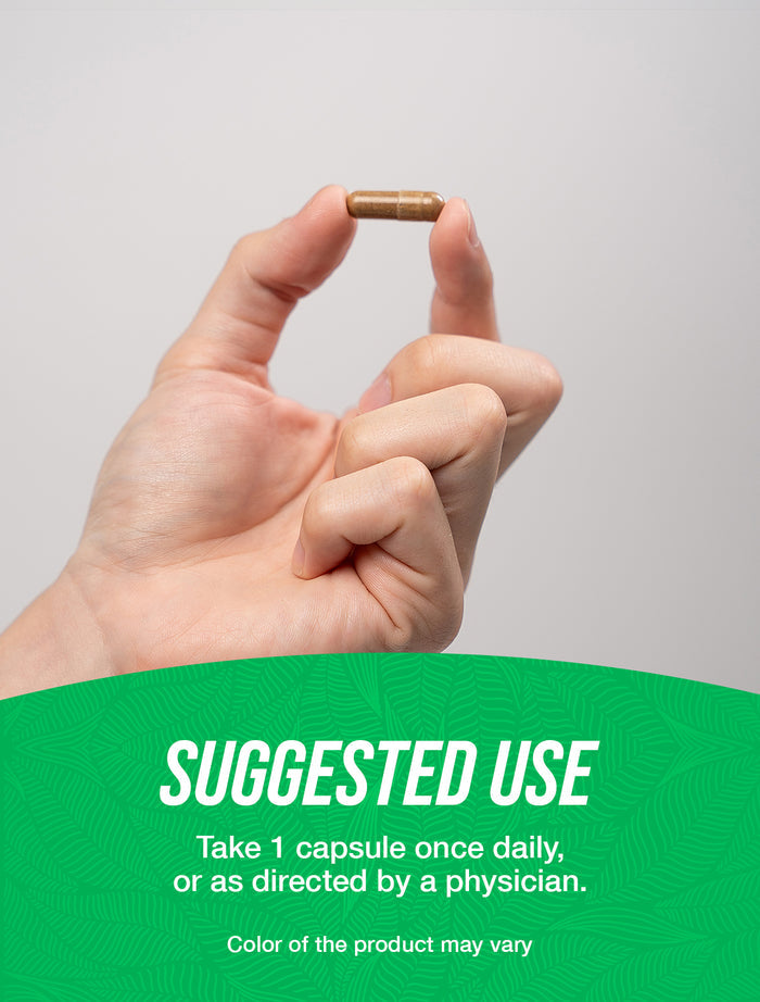 Gynostemma Extract capsules suggested use image