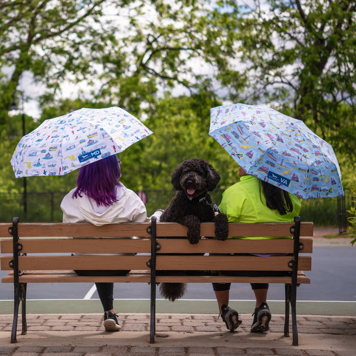 High and Dry Umbrella