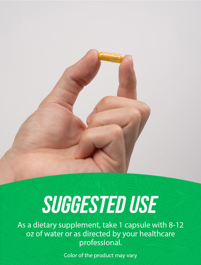 Horse Chestnut Extract Capsules 240ct Suggested Use Image