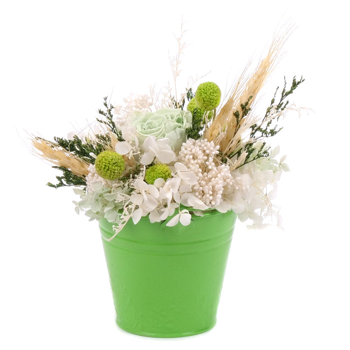 03002067_in-eterno-zelene-plechove-vedierko-monalisa-lime-green