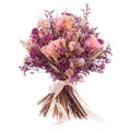 03002071_irigo-susena-kytica-purpurovo-ruzova-monalisa-pink-nectar