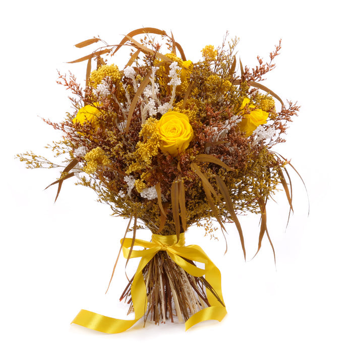 03002037_irigo-susena-kytica-zlto-hneda-monalisa-canary-yellow