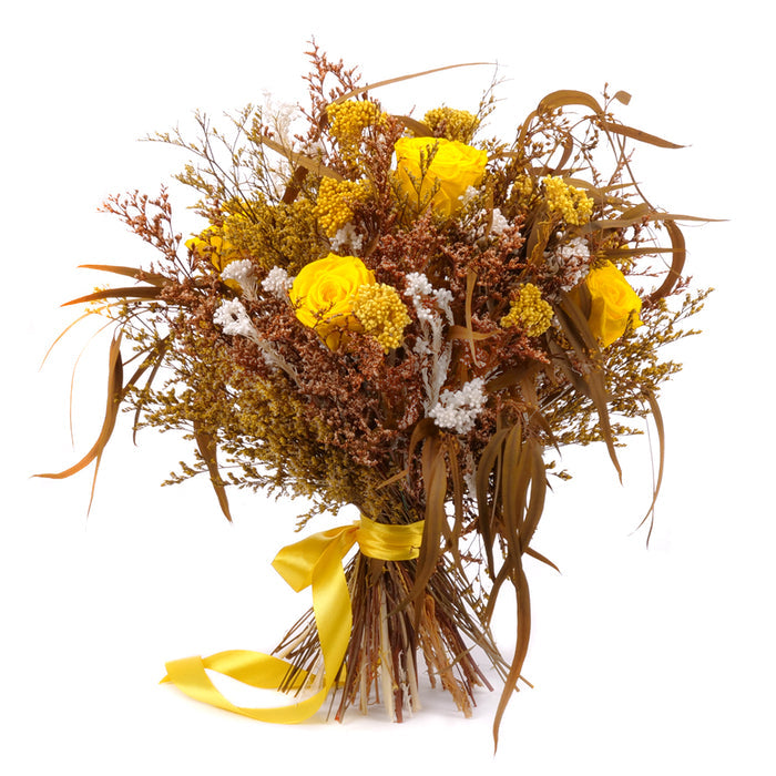 03002037_irigo-susena-kytica-zlto-hneda-monalisa-canary-yellow