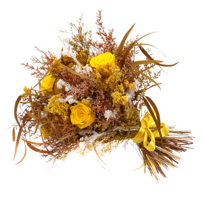 03002037_irigo-susena-kytica-zlto-hneda-monalisa-canary-yellow