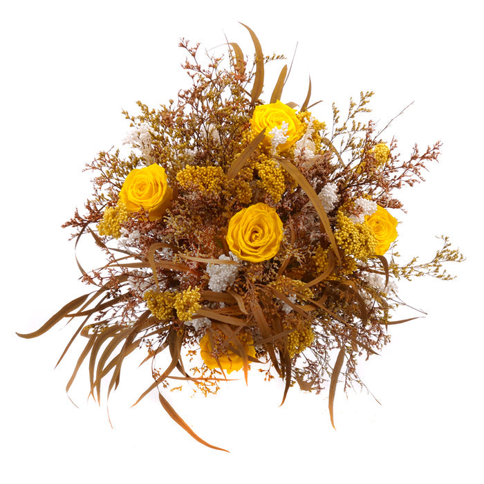 03002037_irigo-susena-kytica-zlto-hneda-monalisa-canary-yellow