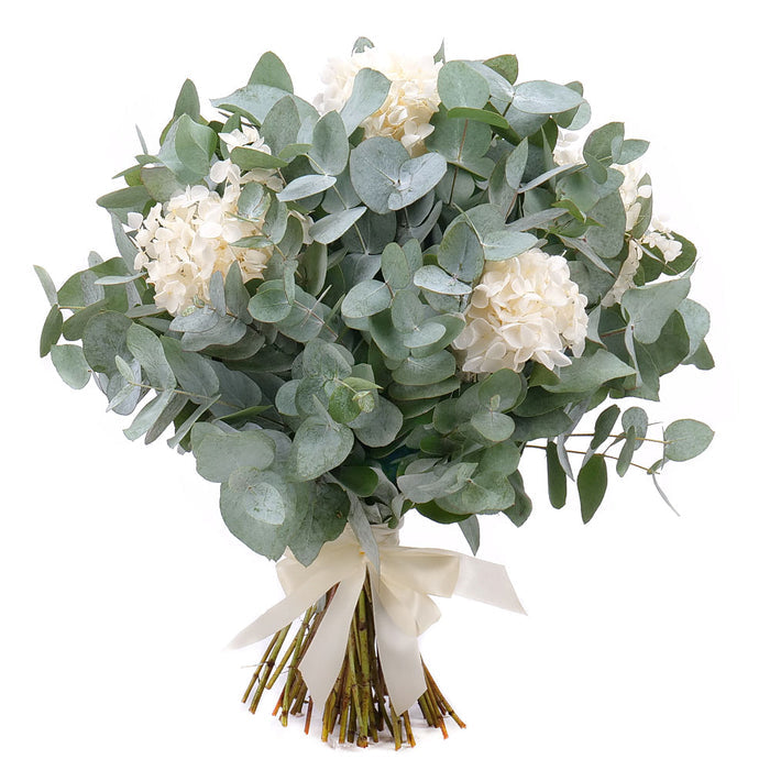 03001805_kytica-eukalyptus-in-eterno-biela-hortenzia