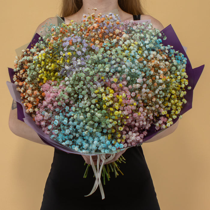 03000646_kytica-farebna-gypsophila