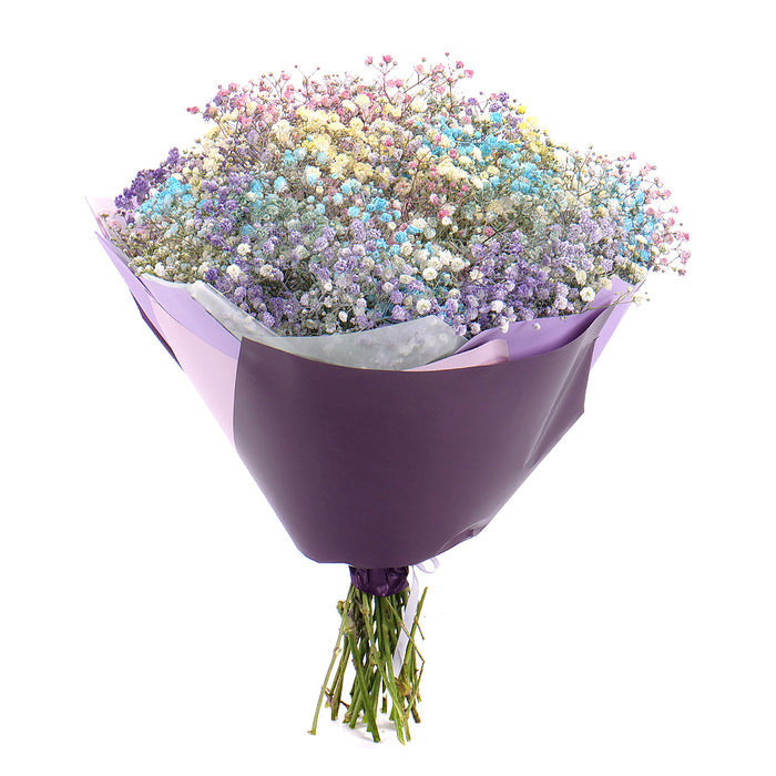 03000646_kytica-farebna-gypsophila