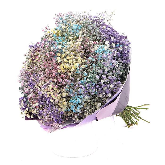 03000646_kytica-farebna-gypsophila