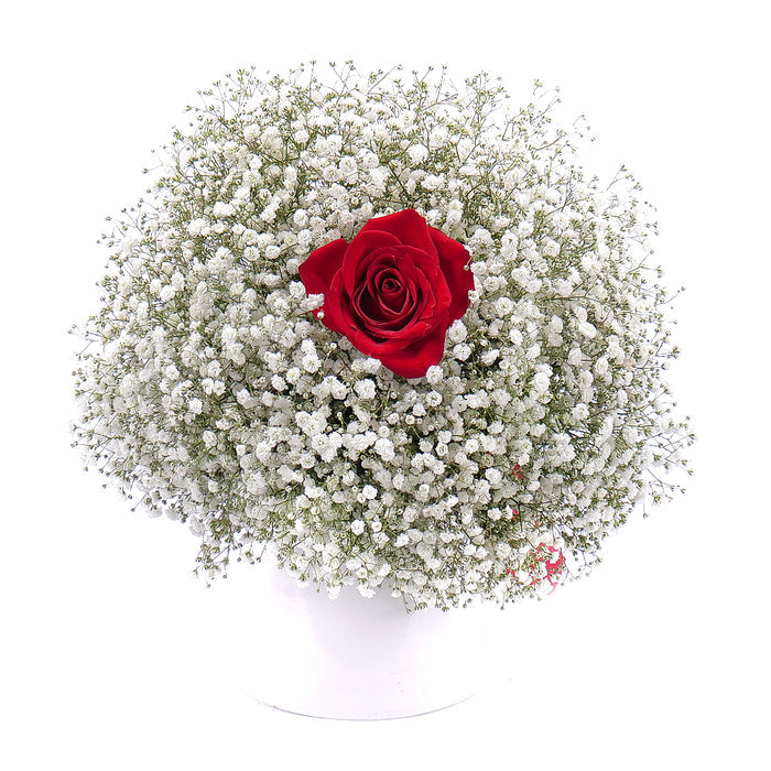 03001074_kytica-gypsophila-a-cervena-ruza