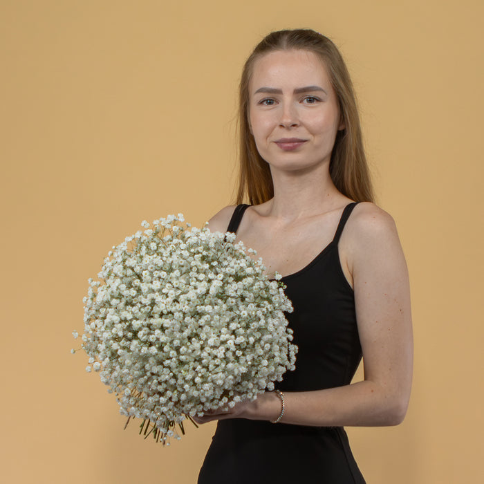 03001073_kytica-gypsophila