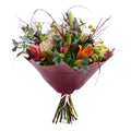 03001095_kytica-jesona-25