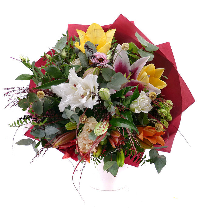 03001095_kytica-jesona-25