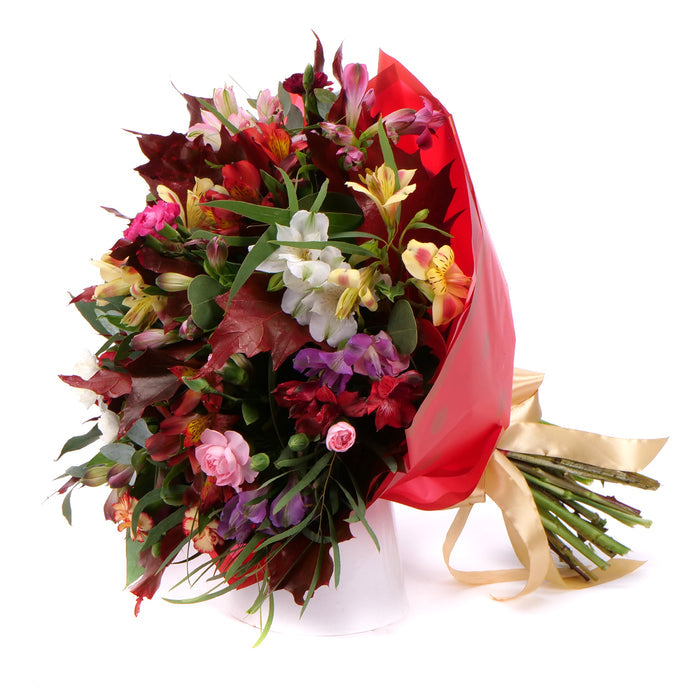 03002112_kytica-jesona-37