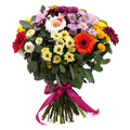 03001129_kytica-letana-33
