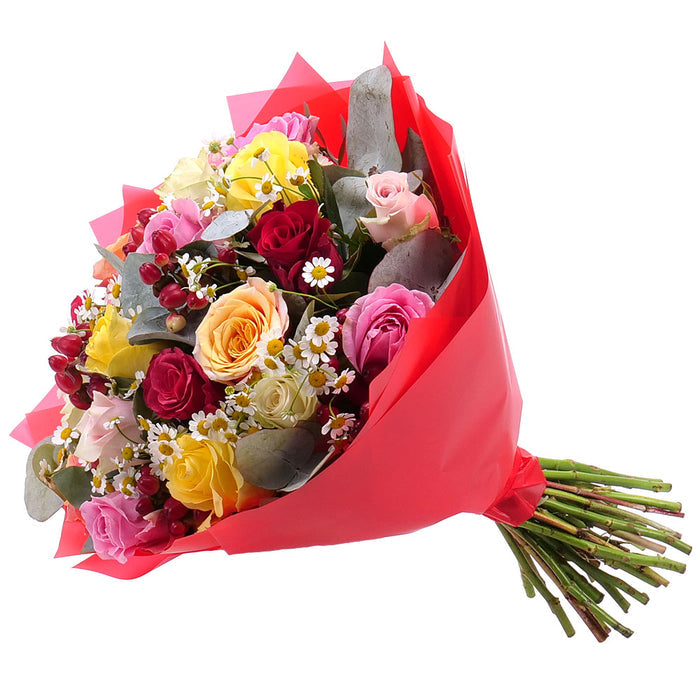 03001151_kytica-letana-53